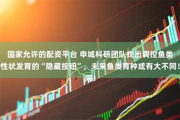国家允许的配资平台 申城科研团队找出调控鱼类性状发育的“隐藏按钮”，未来鱼类育种或有大不同！