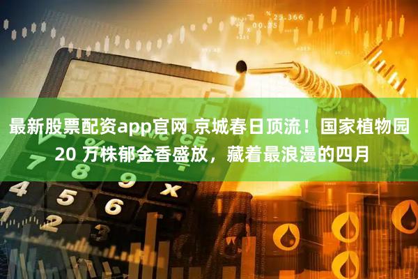 最新股票配资app官网 京城春日顶流！国家植物园 20 万株郁金香盛放，藏着最浪漫的四月